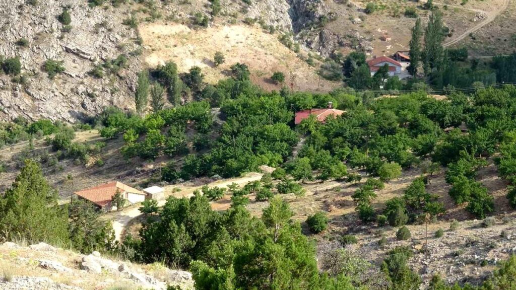 cinayete-kurban-giden-aysel-yildirim-icin-160-19973989_amp