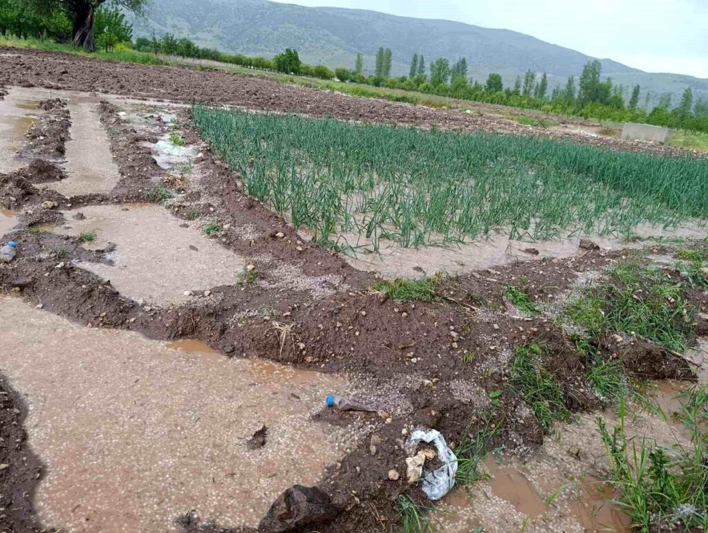malatya-da-dolu-yagisi-tarim-arazilerini-sula-19919133_amp