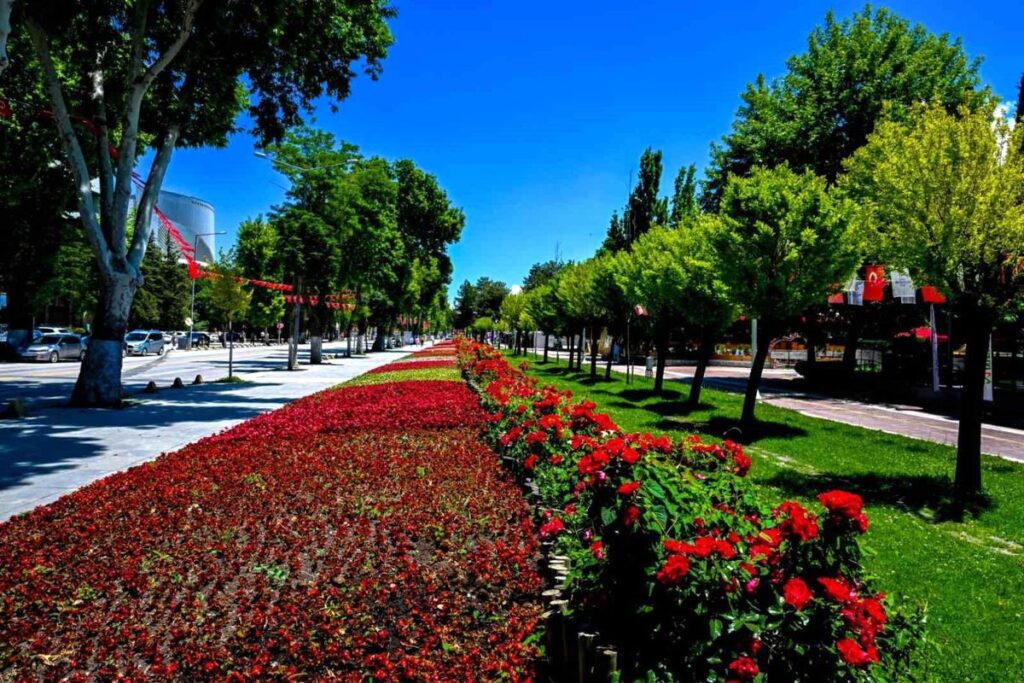 malatya-da-park-ve-kavsaklar-ciceklerle-susle-19944496_amp