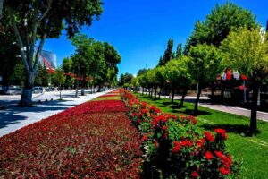 malatya-da-park-ve-kavsaklar-ciceklerle-susle-19944496_amp